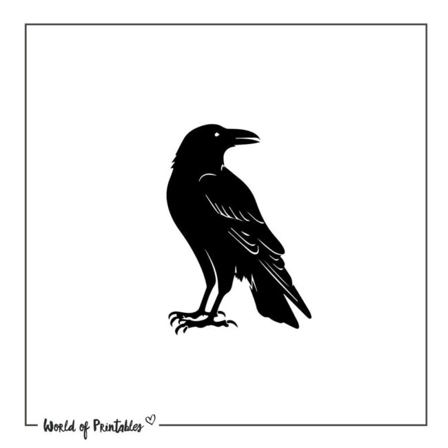 Raven Tattoo Silhouette Designs