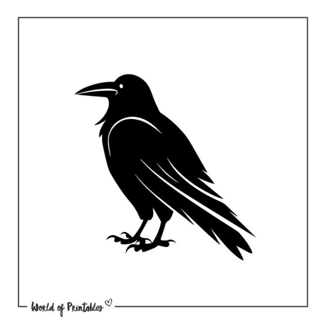 Raven Tattoo Stencil Designs