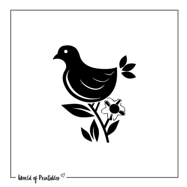 Simple Dove Bird Tattoo Designs