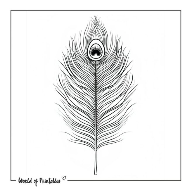 Simple Peacock Feather Tattoo Designs