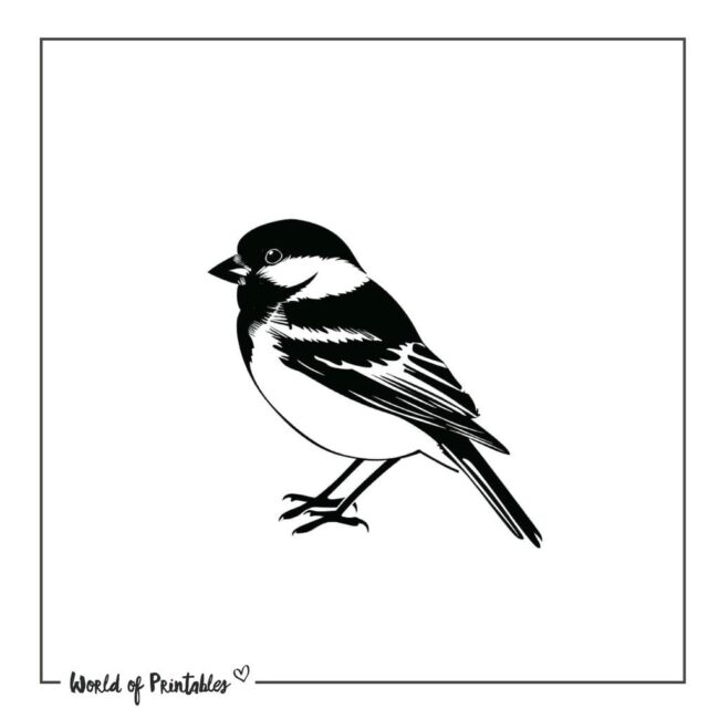 Simple Sparrow Tattoo Designs
