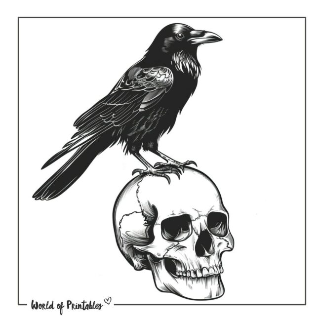 Skull and Crow Bird Tattoo