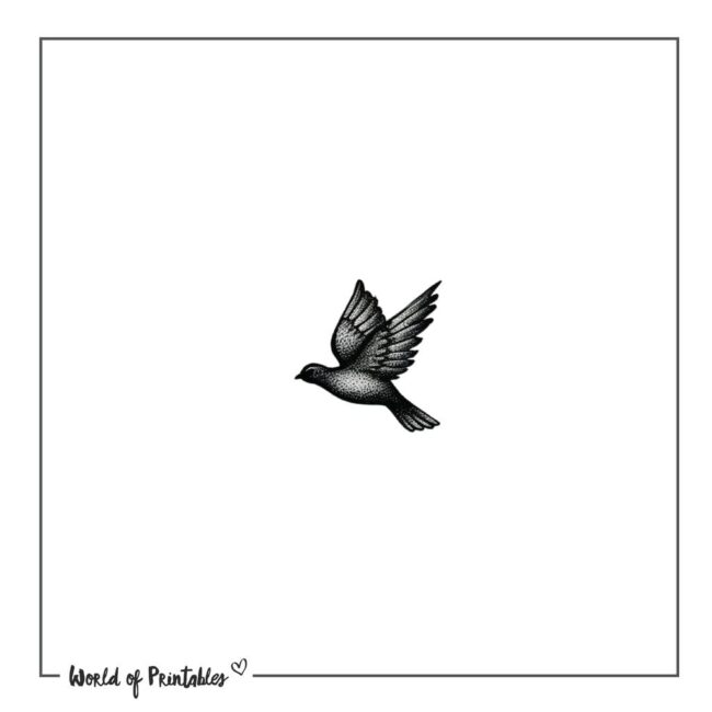 Small Dove Bird Tattoo Designs