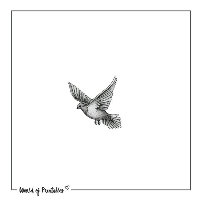 Small Dove Tattoo Designs