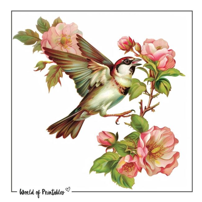 Sparrow Bird Tattoo Designs-10