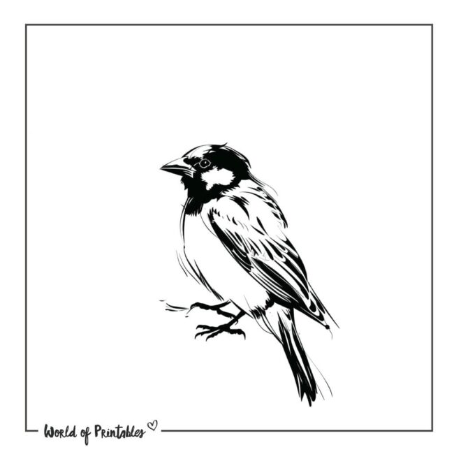 Sparrow Bird Tattoo Designs-16