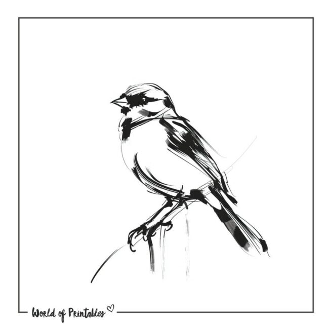 Sparrow Bird Tattoo Designs-17