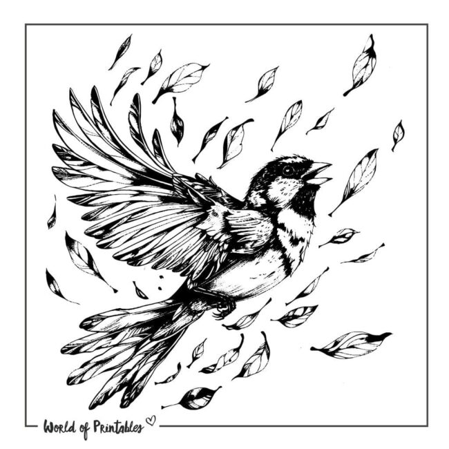 Sparrow Bird Tattoo Designs-30