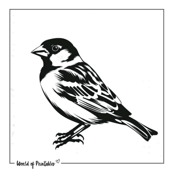 Sparrow Bird Tattoo Designs-33