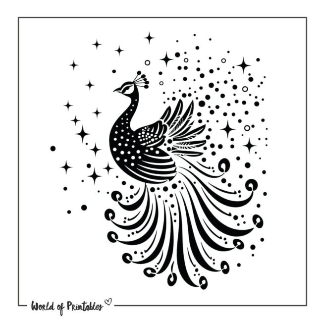 Stars and Peacock Tattoo Designs