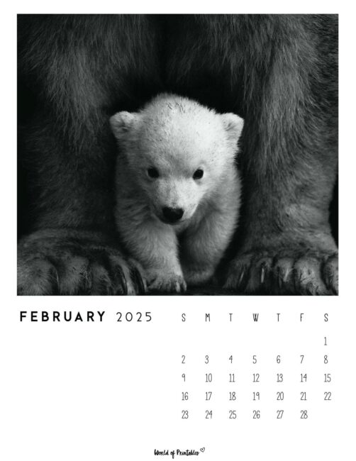 Black and white february 2025 calendar with polar bear photograph