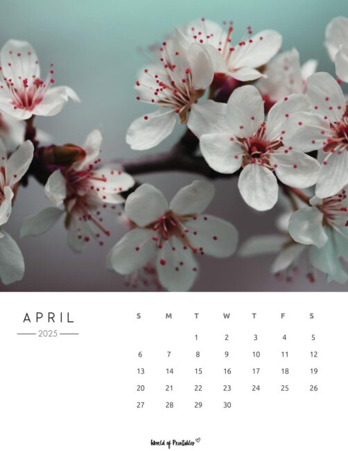 Colorful Flowers Photograph With April 2025 Calendar Below