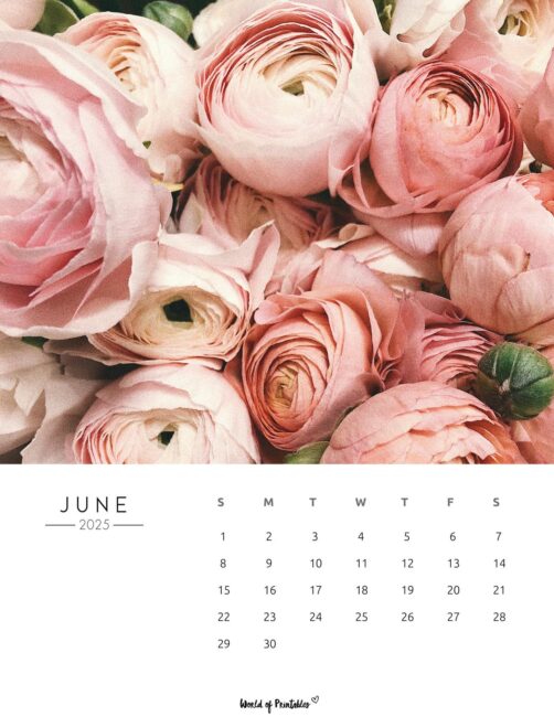 Colorful Flowers Photograph With June 2025 Calendar Below