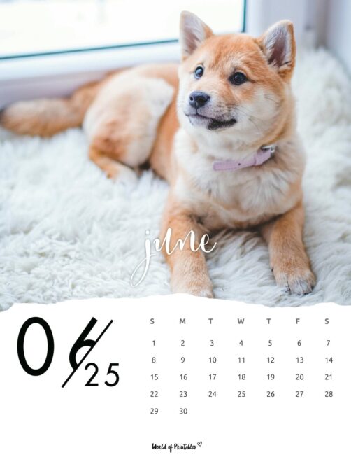 Dog Image With June 2025 Calendar in Elegant Font