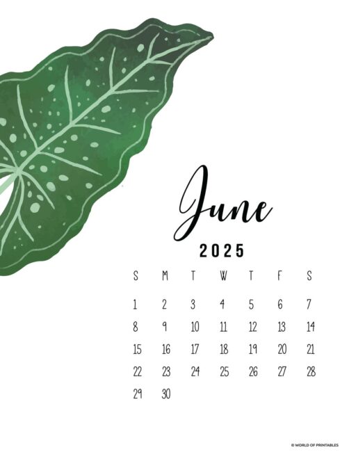 June 2025 Calendar With Large Green Leaf and Elegant Script