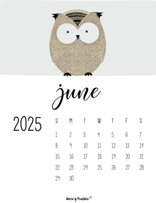 June 2025 Calendar With a Cute Owl and Minimalist Design
