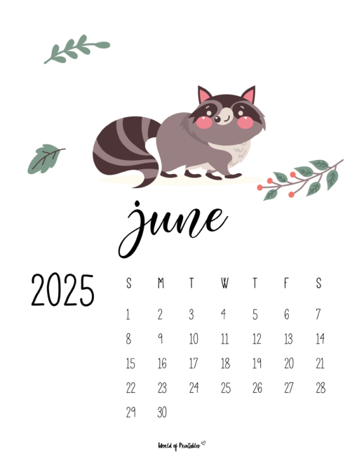 June 2025 Calendar With a Cute Racoon Illustration