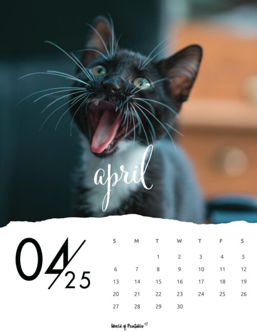 Kitten Image With April 2025 Calendar in Elegant Font