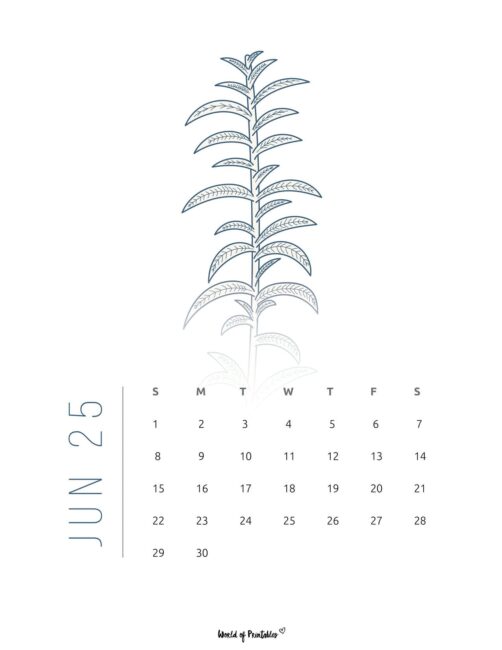 Minimalist June 2025 Calendar With Botanical Illustration and Vertical Text