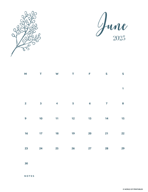 Minimalist June 2025 Calendar With Floral Illustration and Notes Section