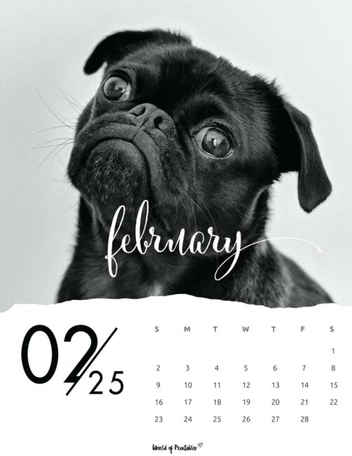 dog image with february 2025 calendar in elegant font