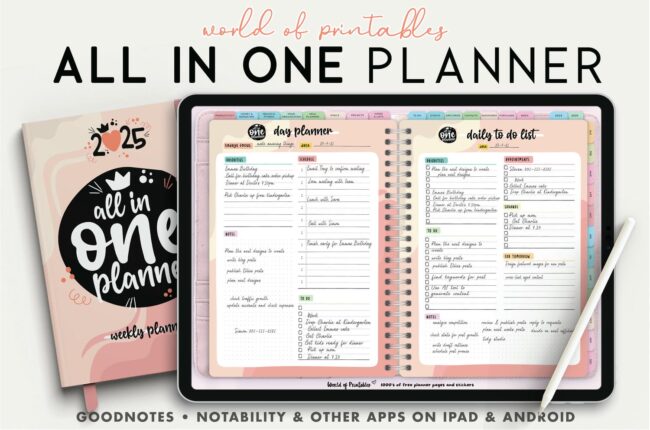 2025 Digital Planner - All In One Style - Downloa