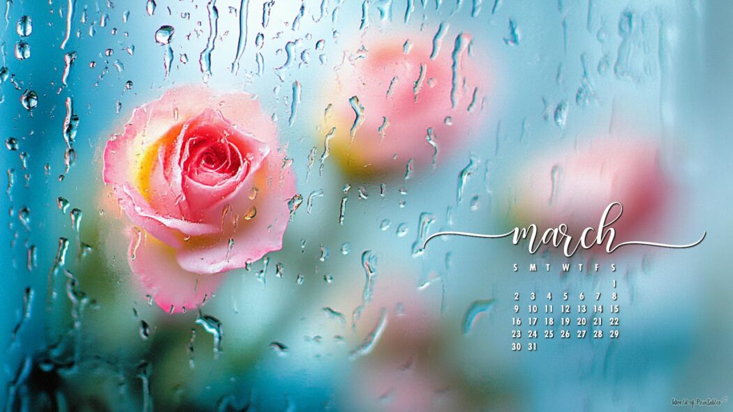 March Wallpaper | 120+ Best Desktop & Phone March Backgrounds