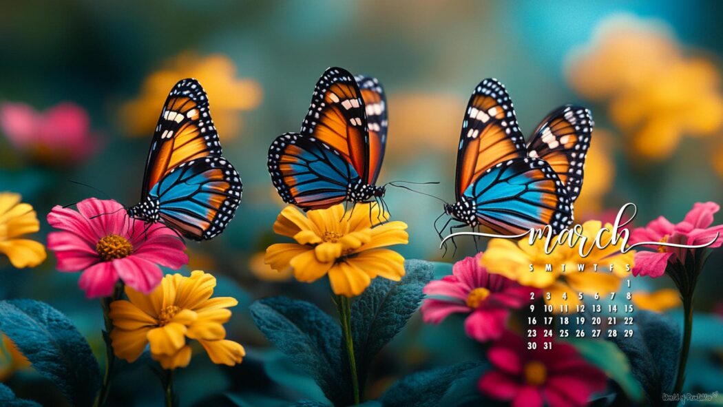 March Wallpaper | 120+ Best Desktop & Phone March Backgrounds
