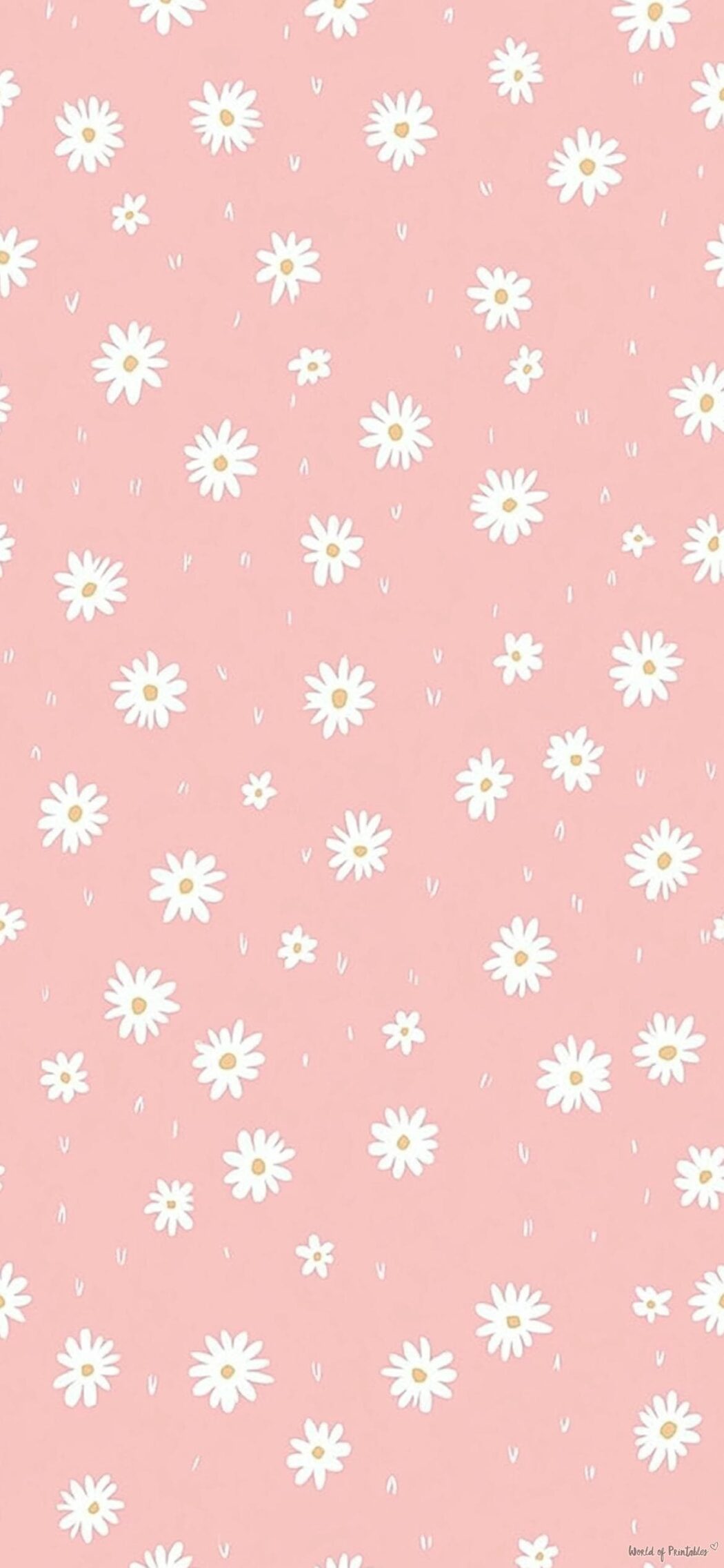Girly Aesthetic Wallpapers | Choose from 150+ Pretty Styles