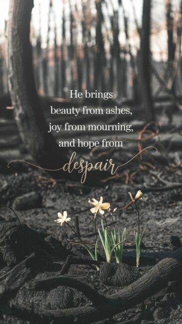 He brings beauty from ashes, joy from mourning, and hope from despair Jesus Wallpaper