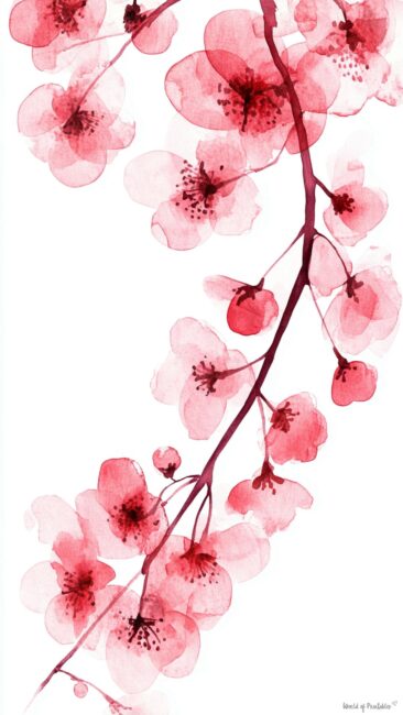 Watercolor Cherry Blossom Background