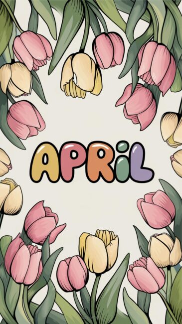 Tulip April Wallpapers