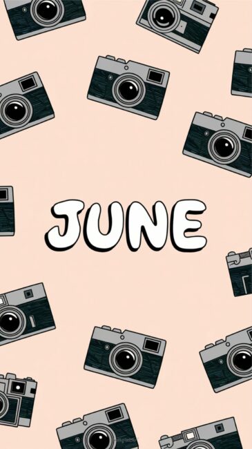 Camera June iPhone wallpaper