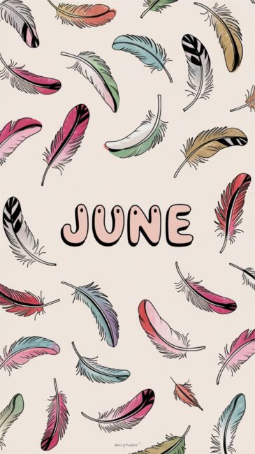Feather Summer aesthetic phone wallpaper