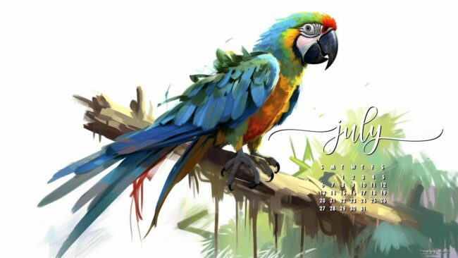 Parrot July calendar wallpaper HD desktop
