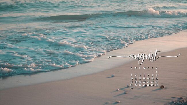 Beach-clean-august-2025-desktop-calendar
