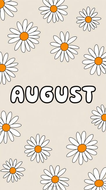 Daisy August Nature Wallpapers
