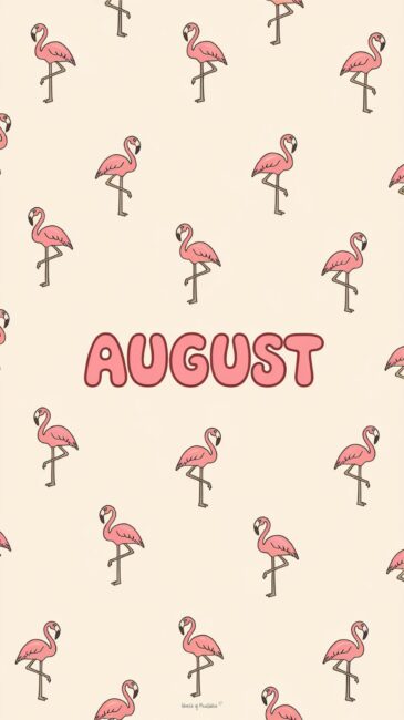 Flamingo August Wallpapers