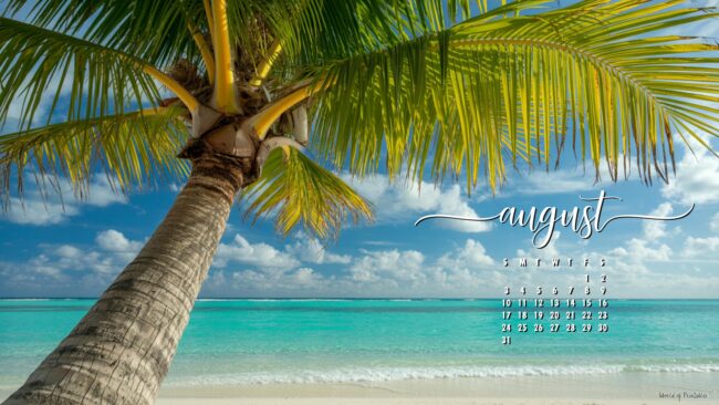 Palm-Tree-desktop-wallpaper-calendar-august-aesthetic