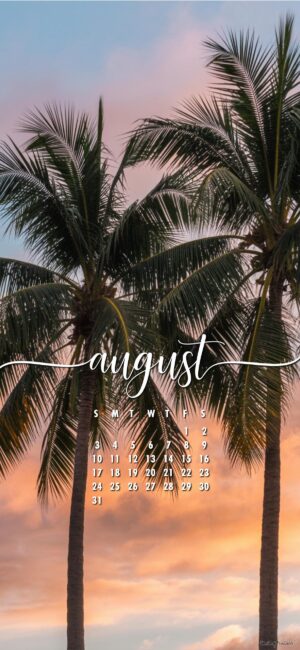 Palm-Tree-sunset-august-calendar-wallpaper-phone