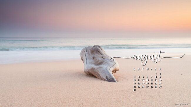 Shell-minimal-august-wallpaper-calendar-pc