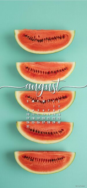 fun-aesthetic-august-lockscreen-calendar