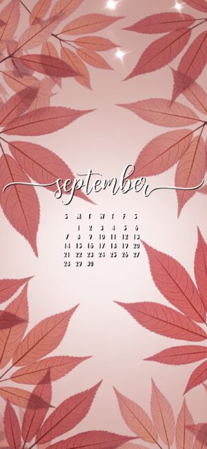 Aesthetic Red Leaf September Wallpaper – Minimal Fall Vibes
