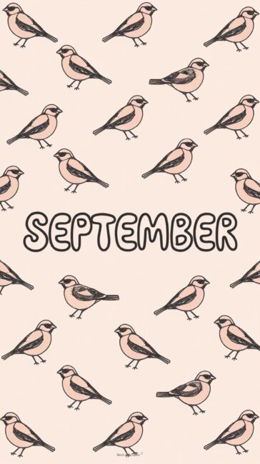 Cute Bird September Wallpaper