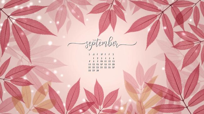 Fall Florals Blush September Calendar Wallpaper Desktop