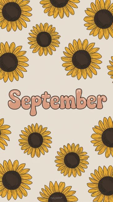 September Wallpaper of Sunflowers