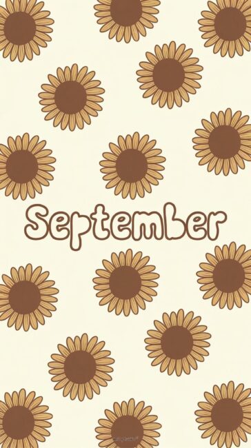 Sunflower September Wallpaper
