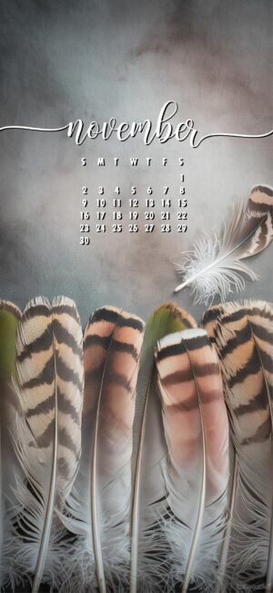 Feather-stylish-november-calendar-phone-wallpaper