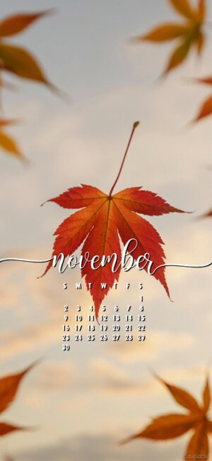 autumn-leaves-modern-november-calendar-wallpaper-phone