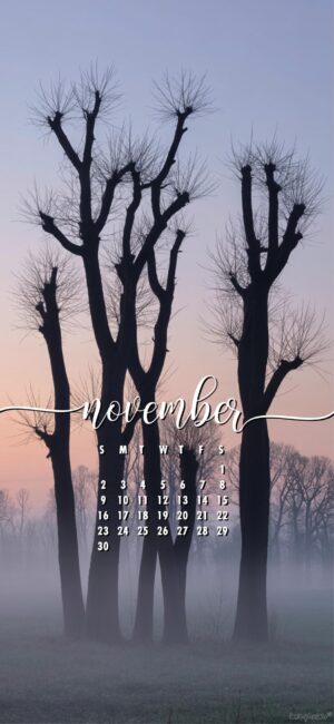 bare-trees-november-calendar-iphone-wallpaper-2025